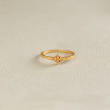 MEZQUITA RING